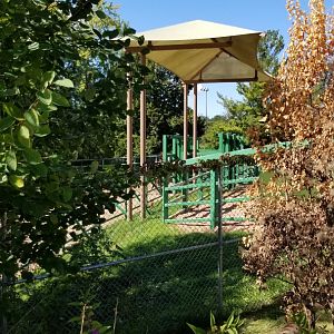 Rosamond Gifford - Asian elephant holding area