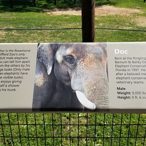 Rosamond Gifford - Asian elephant signs, Doc