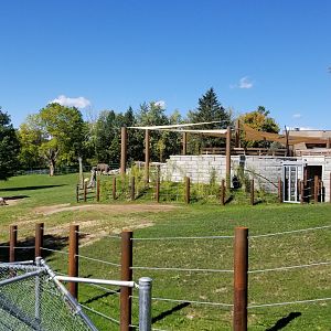 Rosamond Gifford - Asian elephants
