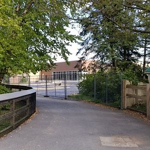 Rosamond Gifford - Path, care center construction