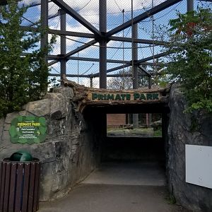 Rosamond Gifford - Primate Park rotating exhibit