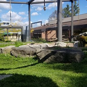 Rosamond Gifford - Primate Park rotating exhibit