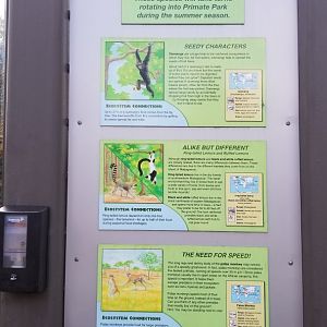 Rosamond Gifford - Primate Park species (missing Colobus)