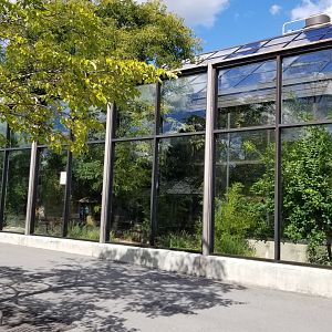 Rosamond Gifford - Komodo dragon / tropical aviary