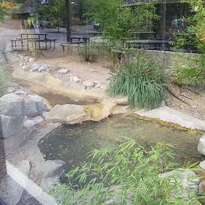 Rosamond Gifford - Komodo dragon / tropical aviary