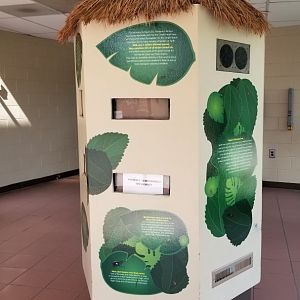 Rosamond Gifford - Insects, empty