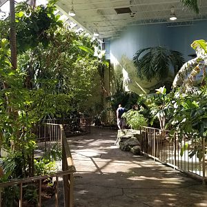 Rosamond Gifford - Tropical aviary