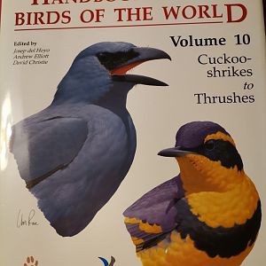 HBW 10, Cuckoo-shrikes to Thrushes