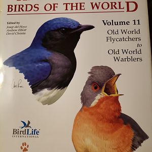 HBW 11, Old World Flycatchers to Old World Warblers