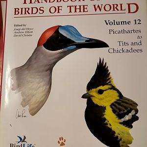 HBW 12, Picathartes to Tits and Chickadees