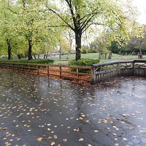 Indian rhinoceros and Myanmar thamin enclosure 191021