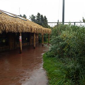 Lemur walkthrough 191021