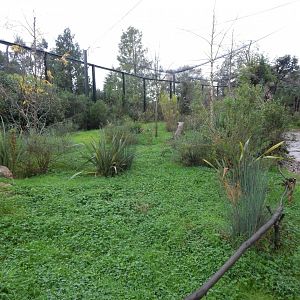 Lemur walkthrough 191021