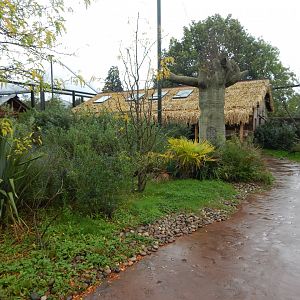 Lemur walkthrough 191021