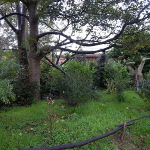 Lemur walkthrough 191021