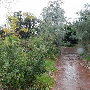 Lemur walkthrough 191021