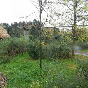 Lemur walkthrough 191021