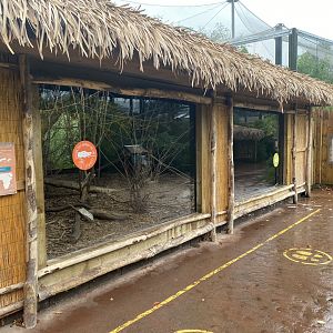 Fossa indoors 191021