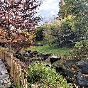 Male giant panda enclosure