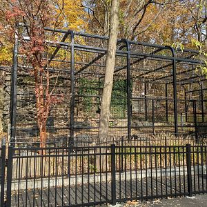 Main Valley - 1.0 Snowy owl