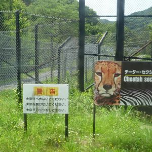 Enterance to the cheetah area
