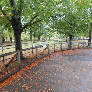 Forest buffalo enclosure 191021