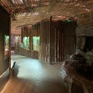 Dragons in Danger 191021