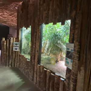 Dragons in Danger - Mixed exhibit 191021