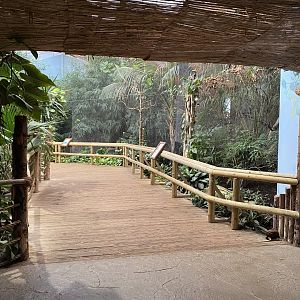 Dragons in Danger - Aviaries 191021