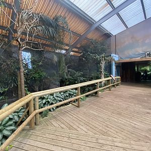 Dragons in Danger - Aviary 191021