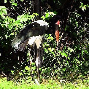 In Memory Of Will (1986-2021) - YouTube