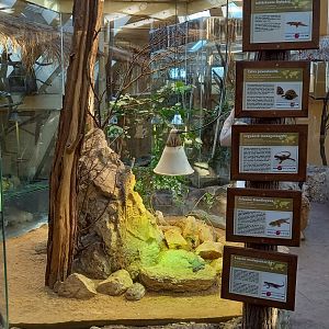 Madagascar terrarium with signs