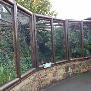 Tropical Realm - Sumatran laughingthrush exhibit (outdoors) 191021