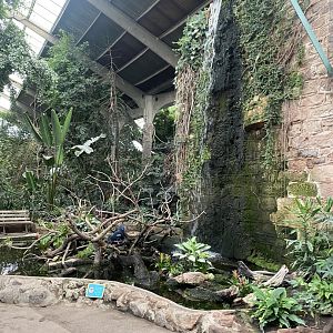 Tropical Realm 191021