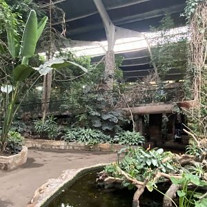 Tropical Realm  191021