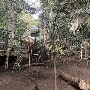 Tropical Realm  191021