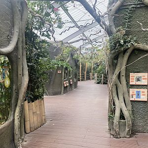 Realm of the Red Ape 191021