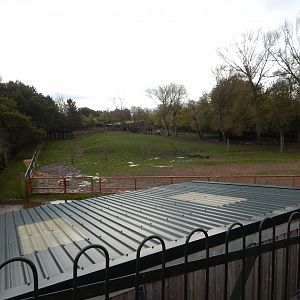 Indian rhinoceros and Myanmar thamin exhibit 191021