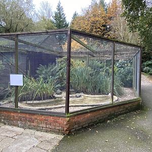 Black-winged stilt aviary 061121