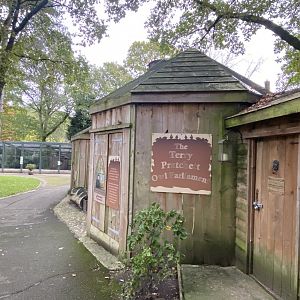 The Terry Pratchett Owl Parliament 061121