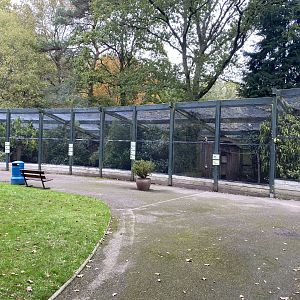 Aviaries 061121