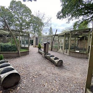 Owl Parliament - aviaries 061121