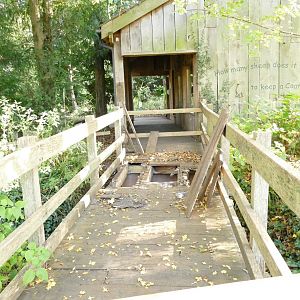 More repair work in progress, November 2021