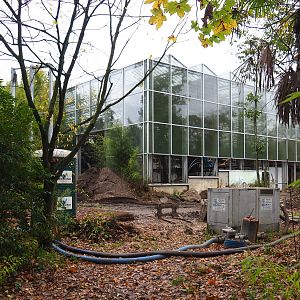 Orangutan project construction site in and around the Asian greenhouse, 2021-11-06
