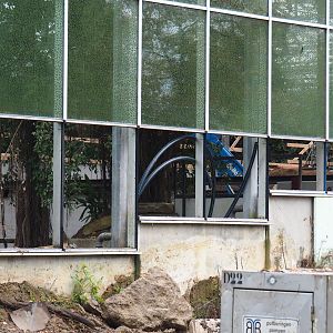 Orangutan project construction site in and around the Asian greenhouse, 2021-11-06