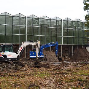Orangutan project construction site in and around the Asian greenhouse, 2021-11-06