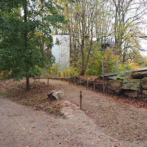 New (temporary?) road near the orangutan project construction site, 2021-11-06