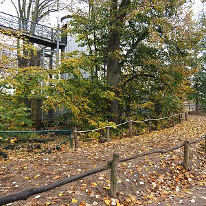 New (temporary?) road near the orangutan project construction site, 2021-11-06