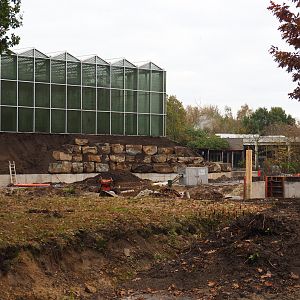 Orangutan project construction site in and around the Asian greenhouse, 2021-11-06