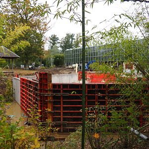 Orangutan project construction site in and around the Asian greenhouse, 2021-11-06